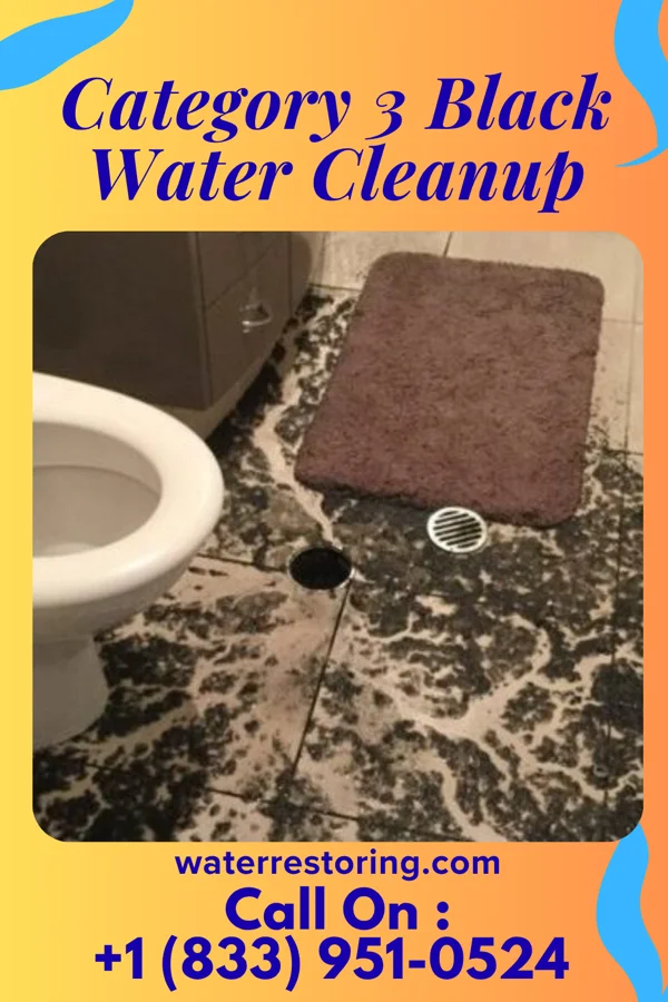 Category 3 Black Water Cleanup in Jeddito, AZ