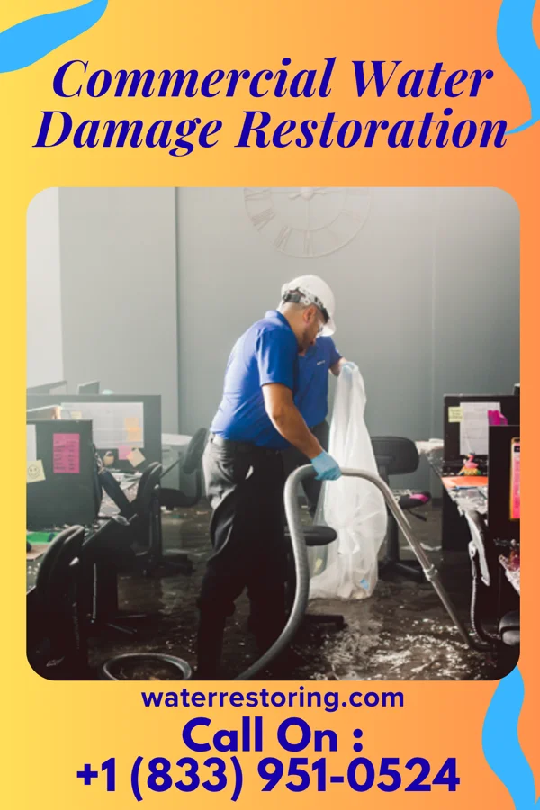 Commercial Water Damage Restoration in Jeddito, AZ